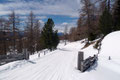 … schneebedeckten Forststraße hinunter, die …