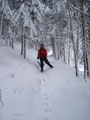 ... und zweigten kurze Zeit später von dieser auf einen schmalen Waldsteig ab. Der Schnee wurde von Meter zu Meter mehr ...