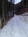 Bei bitterkalten - 12° führte mich der  Weg zuerst über die Forststraße ...