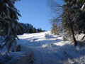 ...beim wandern entlang der Forststraße.