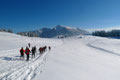 Einige der Kursteilnehmer konnten sich nicht dazu überwinden den Hang hinunter zu rutschen, man traf sich unten wieder und anschließend marschierten wir zurück in GH Alpenrose. Alles in allem, ein tolles Wochenende auf der Postalm. Lg. Rudolf & Ronald