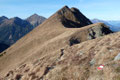 … schon stand ich erneut auf der Stellmauer, von der es wiederum in eine Senke hinunter und nachstehend bergauf Richtung Goldkogel weiterging.