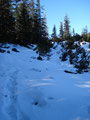... führte uns der schneebedeckte Weg weiter Richtung Gipfel des Röt(h)elsteins.