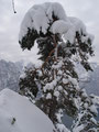 Vorbei an dieser wunderschönen Winterlandschaft ...