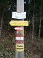 Die dritte Bergtour an diesem Sonntag, 18.04.2010 begann in unmittelbarer Nähe vom Bauernhof Buder in Losenstein. Wir folgten ab hier dem Wanderweg HD4/467 Richtung Hohe Dirn.