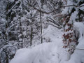 An manchen Stellen war der Wandersteig bis zu einem halben Meter mit Schnee bedeckt. Für ungeübte Wanderer wäre es hier schon etwas anstrengend und manchesmal auch gefährlich gewesen.