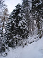 Je höher wir kamen, desto mehr wurde der Schnee - einfach unglaublich, so hatte ich unseren Hausberg selten gesehen.