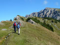 Noch wenige Meter trennten uns vom Aufstieg zur Kahlwandspitze und bereits jetzt konnten wir in der Ferne was ganz Besonderes ausmachen, genauer gesagt eine Steinbock Herde.