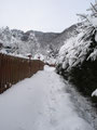 Februar 2009, viel Schnee war gefallen. Wir nutzten diese Verhältnisse für eine Wanderung auf unseren Hausberg, den Kleinen Sonnstein.