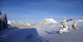 Plötzlich eröffnete sich ein herrlicher erster Blick auf unser heutiges Tagesziel – das Wieslerhorn.