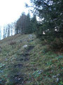weiter führt der Weg vom Pfannstein weg, links den Bergkamm hinauf
