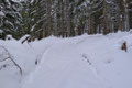 Nach einer sehr langen Querpassage durch ein Waldstück trafen wir beide wiederum auf einen Zieh- oder Hohlweg, was immer das auch sein mag.  Roni hatte nun das Schleppen der Schneeschuhe satt, er schnallte sie jetzt an und ich ….. ich trug sie weiter!!