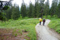 Jetzt ging es nochmals für ein paar Meter diese Forststraße entlang bis in der Linkskurve rechts der Wandersteig Nr. 620 hinunter zum „Gosausee (937m)“ abzweigte.