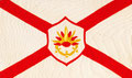 South American Saint Line Ltd., Cardiff