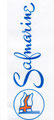 Safmarine Container  Lines NV, Antwerpen (seit 1999 zu Maersk)