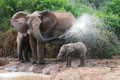 Tierische Dusche!