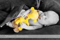 Babyshooting Babyfotos Newbornfotos Franzis Fotostudio Walle