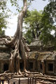 Ta Prohm