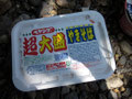 これがワシの夢じゃった！