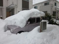 お隣さんの車が・・・