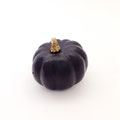 ハロウィン205　かぼちゃ　黒60　　60Ｈ　¥200 