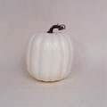 ハロウィン316　かぼちゃ　白　185　185H 　￥600