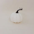 ハロウィン301　かぼちゃ　白　125　125H 　￥400