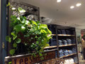 Lee Japan Shop