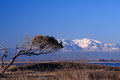 Etang de Canet
