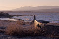 Etang de Salses - Font del Port