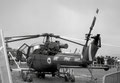 Westland - Scout (GB)