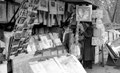 Paris / Bouquiniste (F-75)