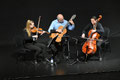 Trio Musique & Cie
