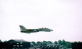 Douglas - F 14 Tomcat (USA)