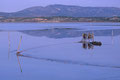 Etang de Salses - Font del Port