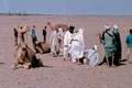 Zagora - Marché Touareg