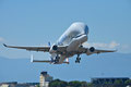 AIRBUS - A 330 743L Beluga XL - (Msn 1824)