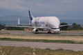 AIRBUS - A 330 743L Beluga XL - (Msn 1824)