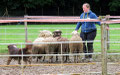 Herding Clinic