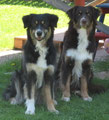 Indi mit Sohn Inch