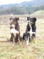 Inch mit Mama Indi