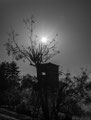 Hochstand
