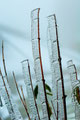 Iceblades