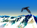 Frei wie der Wind II