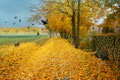 Herbstweg