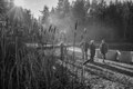 Beim Abfischen im Waldviertel
