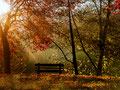 Magic Autumn
