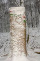 Herzbaum