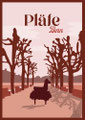Bern: Pläfe