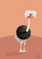 Ostrich